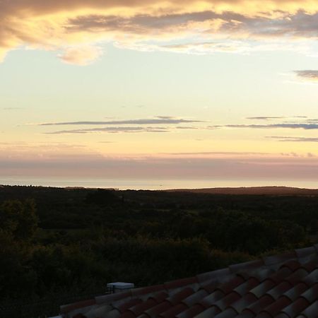 Villa Carolus-Luxurious Istrian Villa Barat  Zewnętrze zdjęcie