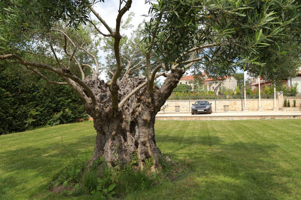 Villa Carolus-Luxurious Istrian Villa Barat  Zewnętrze zdjęcie
